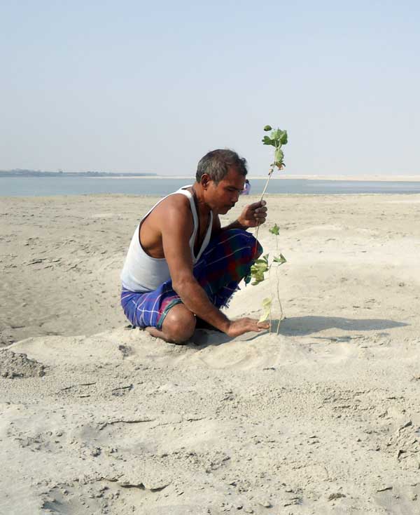 bijitdutta.com🇮🇳 Father&Farmer tweet media