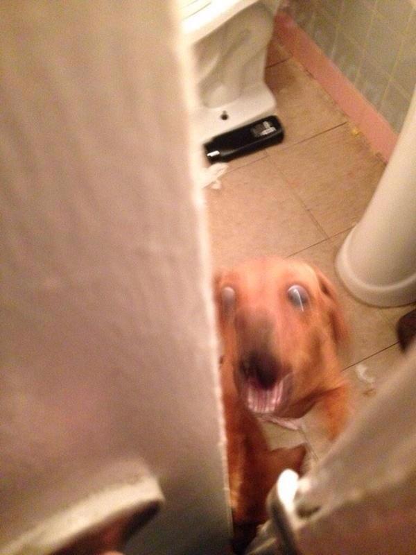 yisucrist's tweet photo. cuando estás en el baño e intentan entrar xk t dejaste la puerta abierta http://t.co/wzw3d6Kfnn
