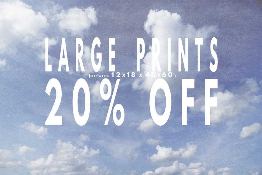 Paper & Ink Studio (@Paper_InkStudio) / Posts / X
