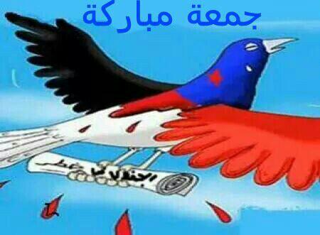 Vvll110@gmail.com Vv (@vvll110) on Twitter photo 