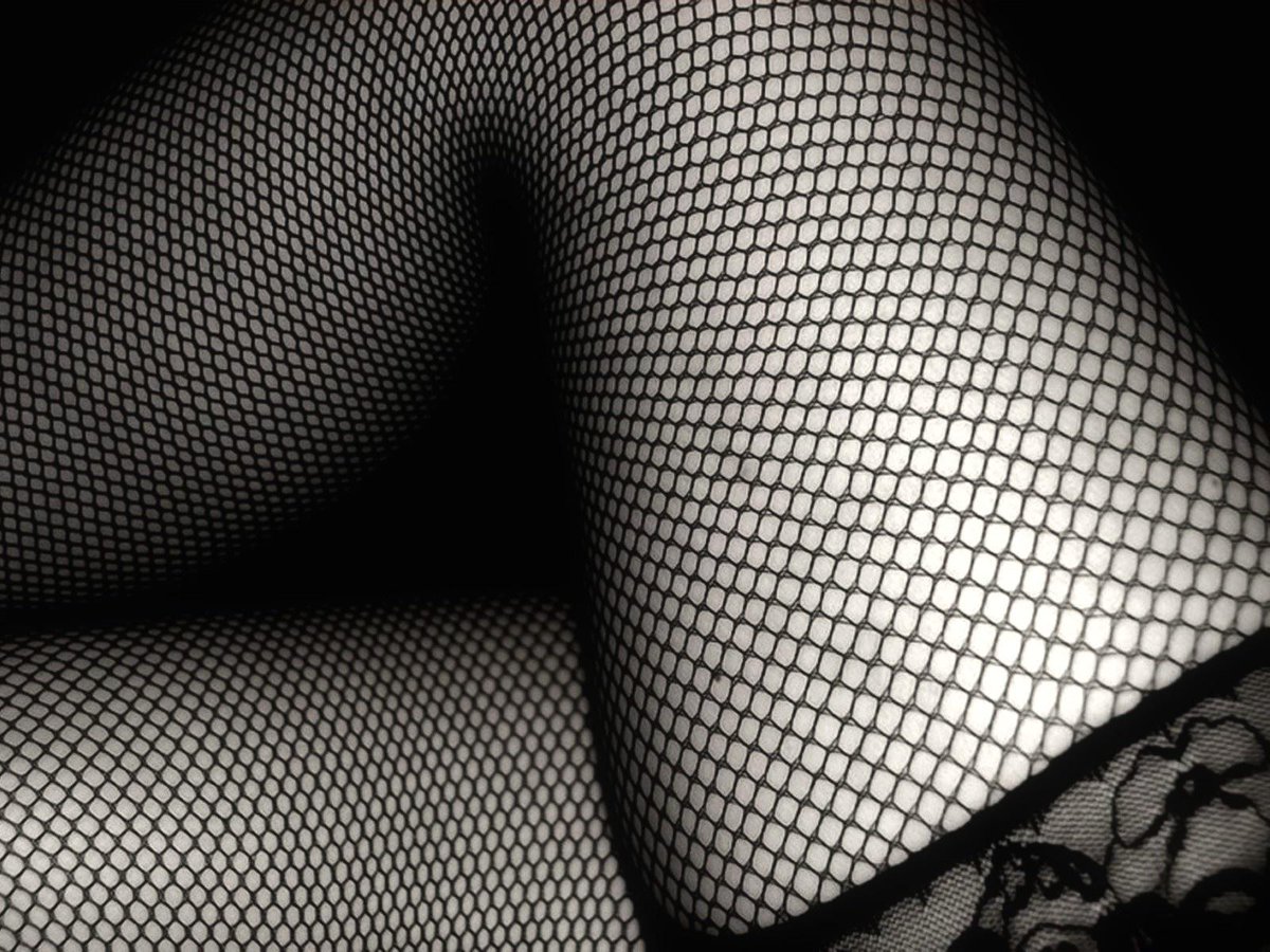 BirdWithaGun's tweet image. “Y’think Rian’ll mind that I borrowed her fishnets again?"