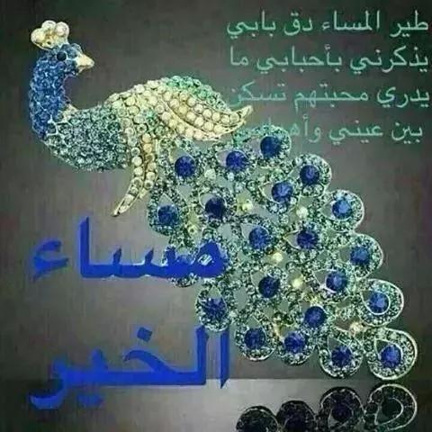 زيزو  (@cf751d779716477) on Twitter photo 