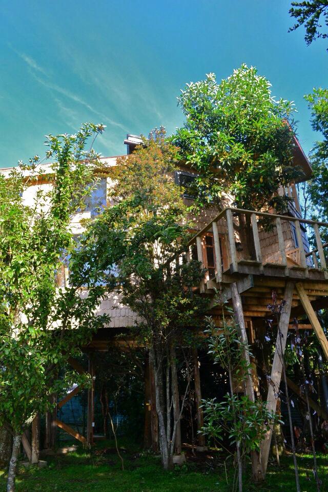 La Casa del Árbol de Chiloé tweet media