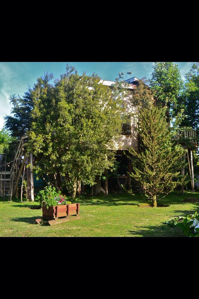 La Casa del Árbol de Chiloé tweet media