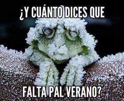 mariolalinea's tweet photo. http://t.co/0pZ7U0gHHJ