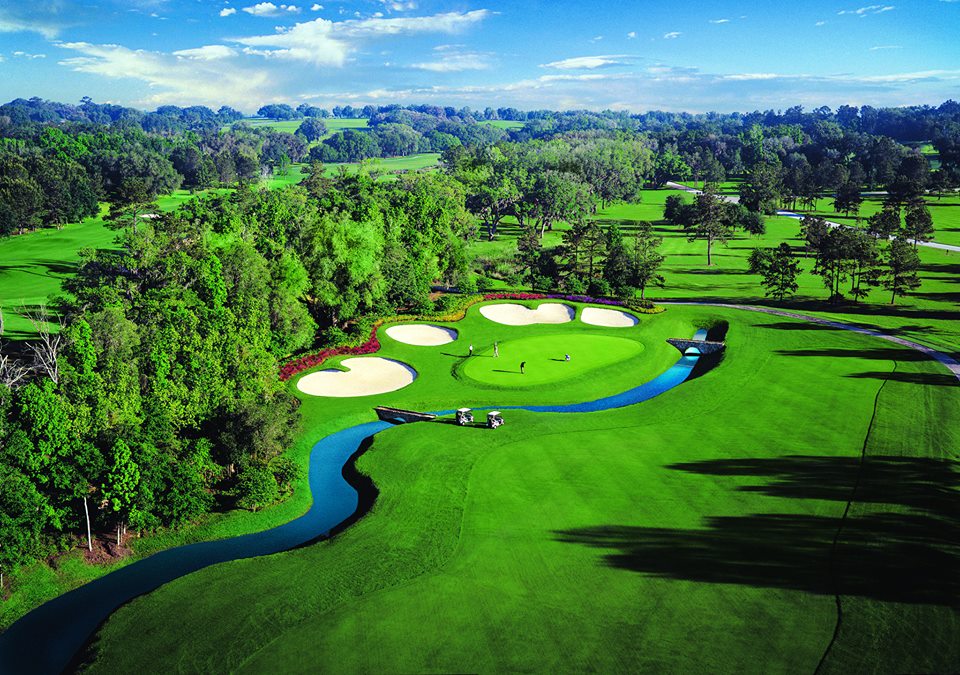 LPGA's tweet photo. Can't wait! "@NWAChampionship: In sunny Ocala for the @CoatesGolfChamp kicking off @LPGA season! #countdowntocoates http://t.co/Wly3K1VqEA”