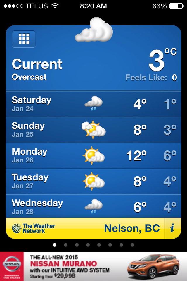 NelsonBC tweet picture