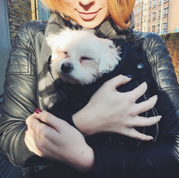 PerfectGem's tweet image. The dog with a good lucky in this world, I love Gemma's nails ☀❄💅