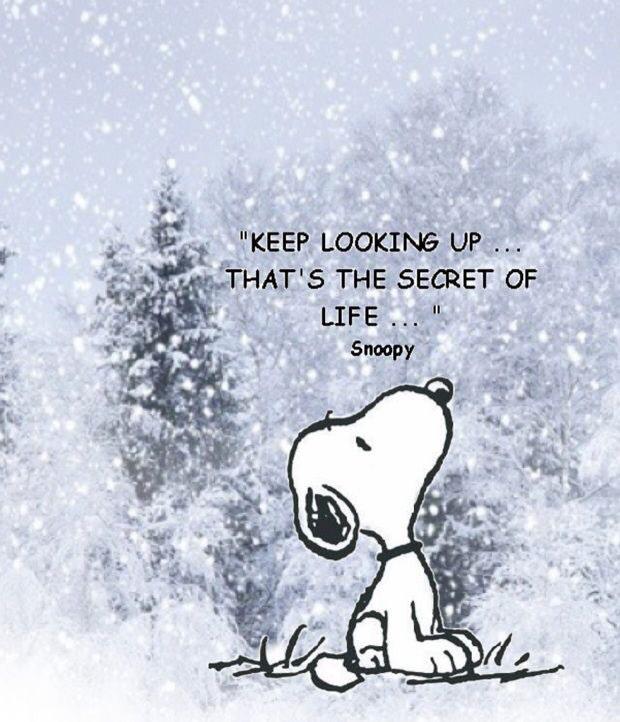 Rora822's tweet photo. Some inspiration from Snoopy http://t.co/cKPZl4bc8Y