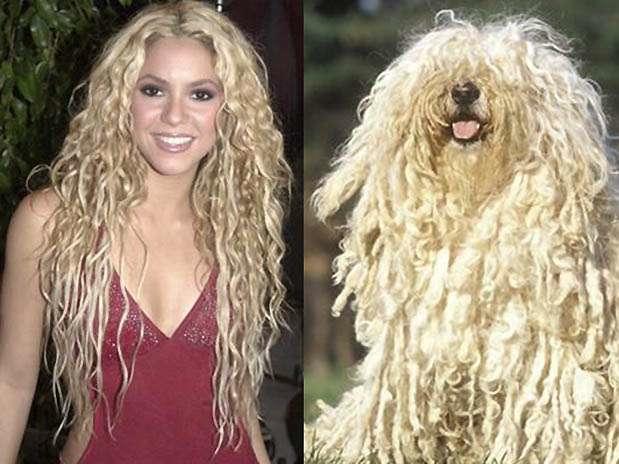norbeyquevedo's tweet photo. Shakira y su mascota. http://t.co/1dNbaalNHT