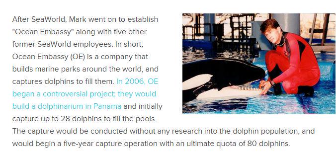 JWilson0310's tweet photo. Mark Simmons the voice of pro seaworld in #Blackfish  runs a business which uses captured dolphins  #OpSeaWorld http://t.co/7PTCEFaIGk