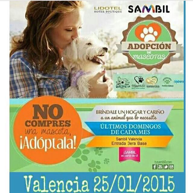 ¡También puedes hacer tu donativo el día domingo 25 de enero en <a href="/tusambil/">SAMBIL® Venezuela</a> #Valencia. ¡Te esperamos!