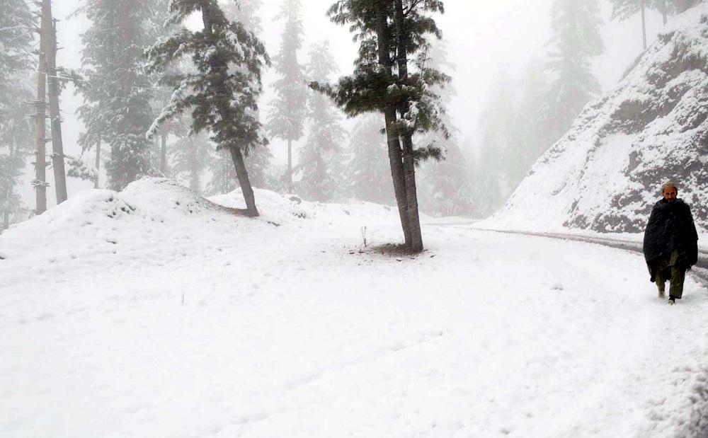 VisitPakistan🇵🇰 tweet media