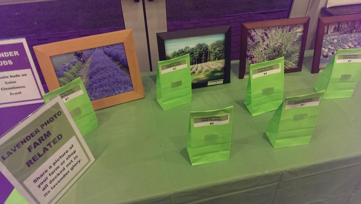 uslavender's tweet photo. Vote for the best Lavender Farm Related Photo now! #uslavender #lavender farms http://t.co/yyHBlohTb2