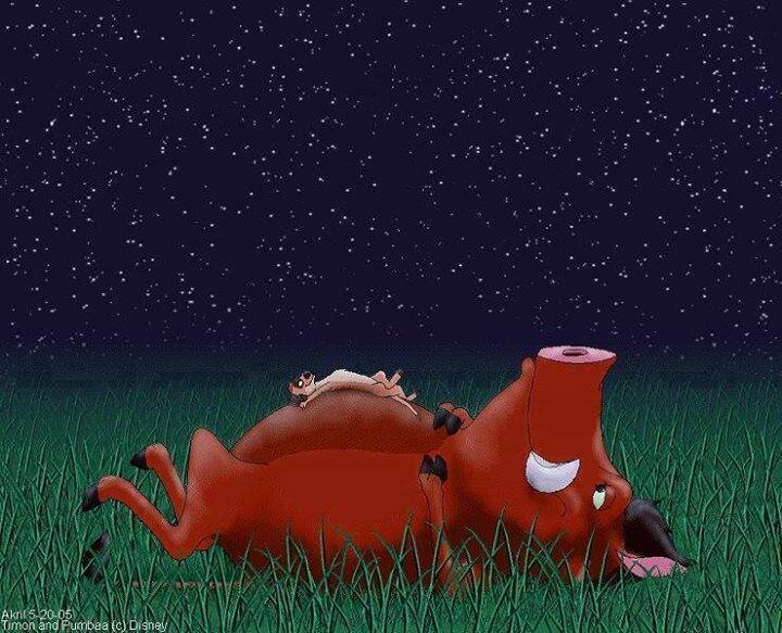 -تيمون عمرك فكرت النقط دي تطلع إيه
-بومبا أنا مابفكرش أنا عارف
ده دبان.. دبان منور لازق في السجادة الزرقا إللي فوق دي