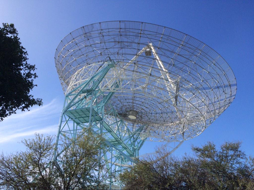 Mark Fewer tweet media