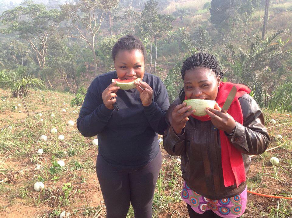 cchristbay's tweet photo. 1st Journey of #HOFNA Farm. #Agriculture4 #youthEmployment #incomeGeneration http://t.co/5iFUb55GJc