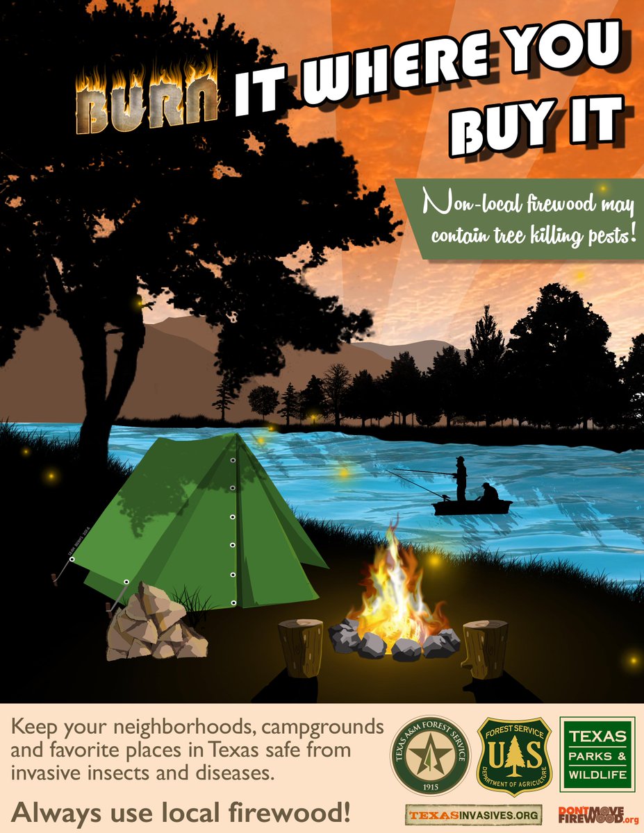 ISA_Texas's tweet image. RT @TXForestService: Burn it where you buy it! Non-local firewood may contain tree-killing pests! #OakWiltPrevention