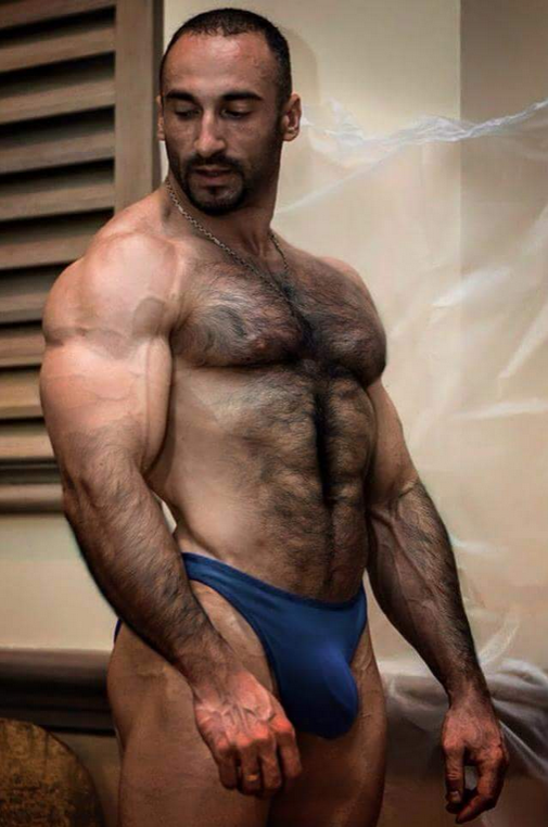 Hairy Muscle Gay 88