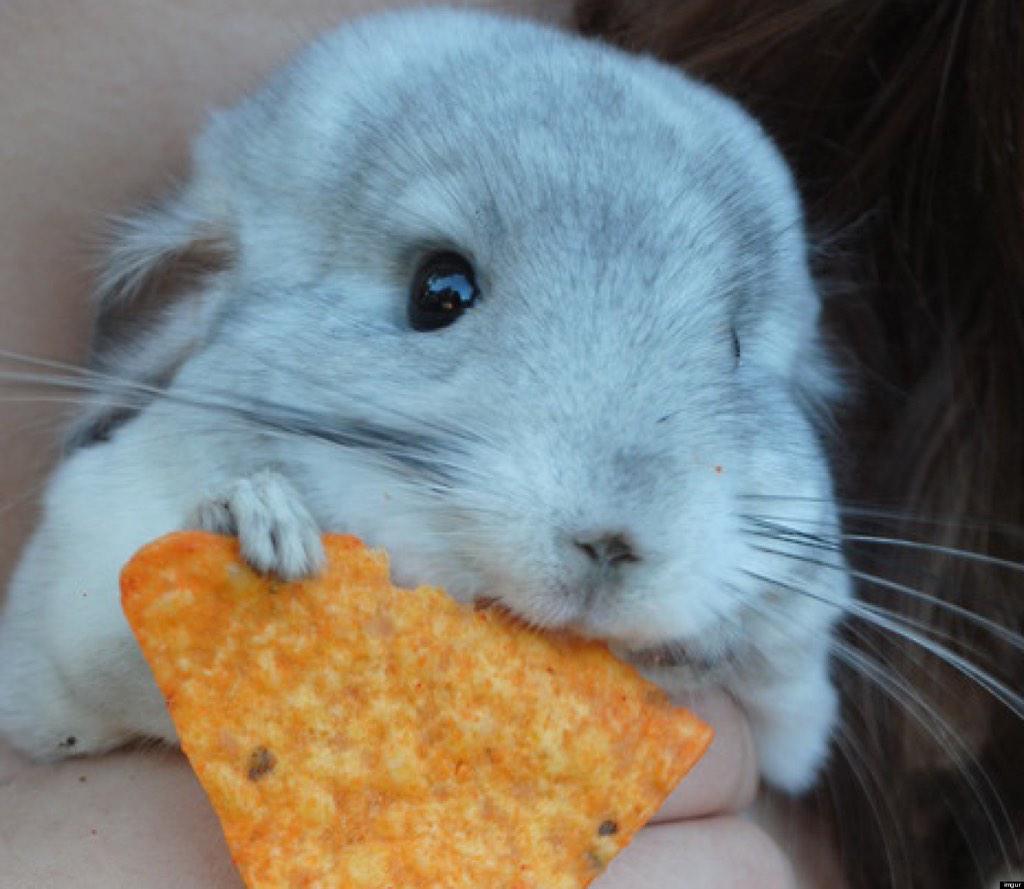 belledanielle's tweet photo. Here's a photo of myself to liven things up. http://t.co/YHrnnxBbDs