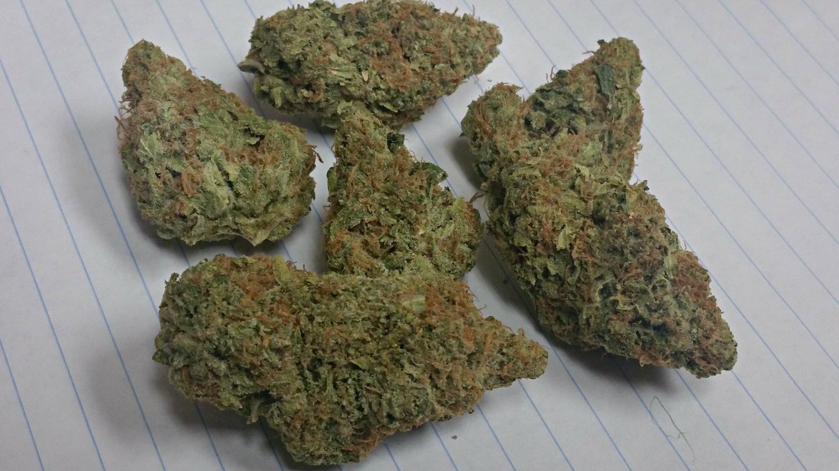 Bare Naked Bud en Twitter: "Love these super dense #ogkush nugs of ours.  Daaaaamn. #i502 #marijuana #cannabis #dank #nugs http://t.co/GM8xe2ClwT" /  Twitter