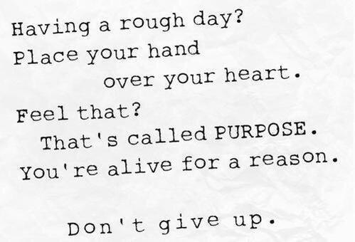 TearsOfFat's tweet image. If your goals ever fail you: