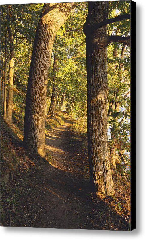 thompsonfineart's tweet photo. New artwork for sale! - "Conference Point Path - Lake Geneva - Wisconsin" - http://t.co/bAoQYspJPX @fineartamerica http://t.co/ZEdTGWwKr4