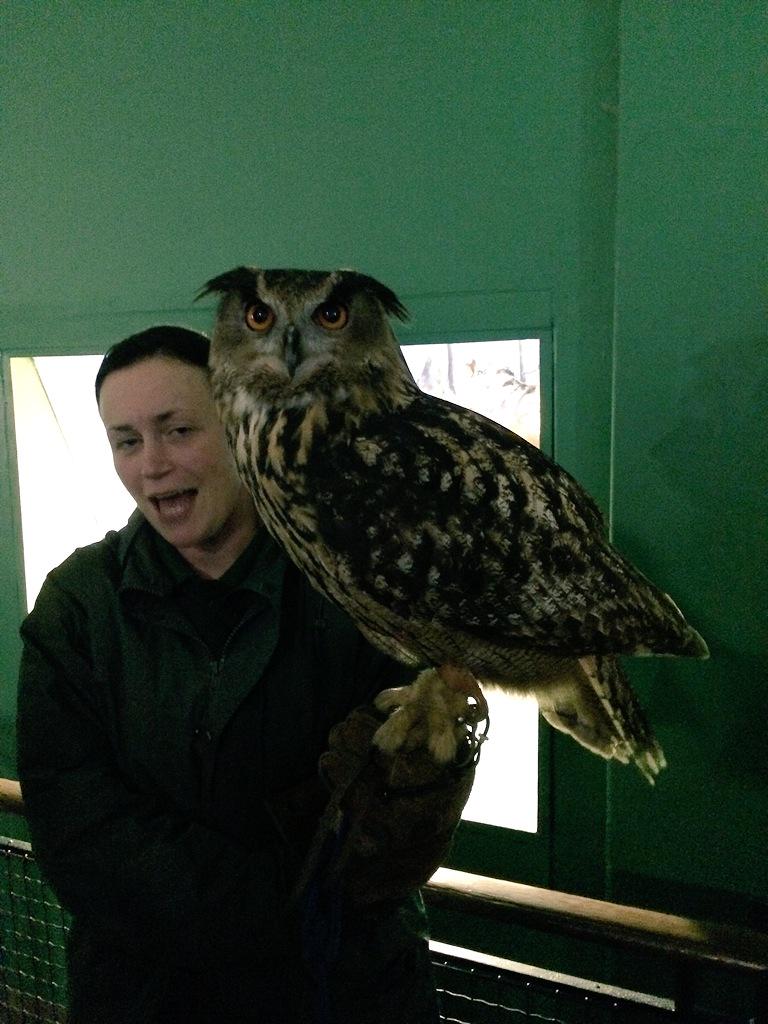 Whichpicapp's tweet image. Best animal pic!? Can you beat download WhichPic app today! It's free! #gamedev #animal #photography