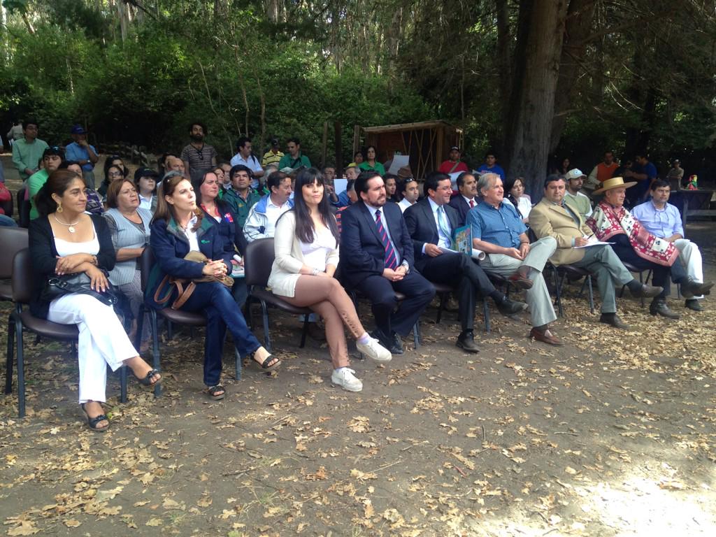 Seremi M.A. Maule tweet media