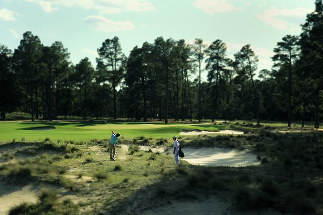 PinehurstResort's tweet photo. Our best deal of the year is available through March 7.
Details: http://t.co/uPRXyHox7Q
#EvergreenEscape http://t.co/eDXtjOVOCJ