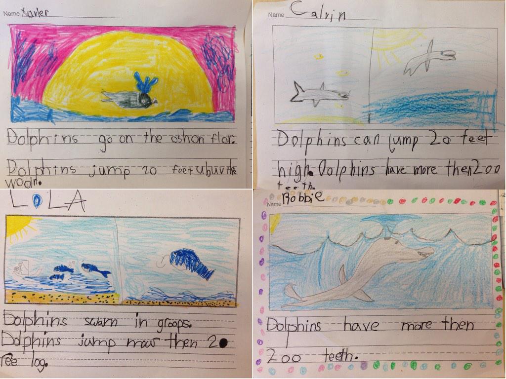 KarenDeGennaro's tweet photo. Non-fiction: #dolphins #firstgrade #ps10bk #ps10sw http://t.co/IYvZmTJwea