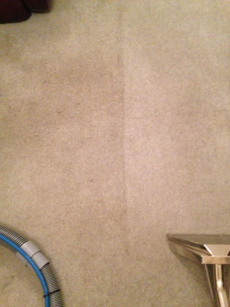 YorCleaning's tweet photo. A carpet clean done today in York. #YCC #nofilter #carpetcleaningspecialists http://t.co/0vTx51V2XG