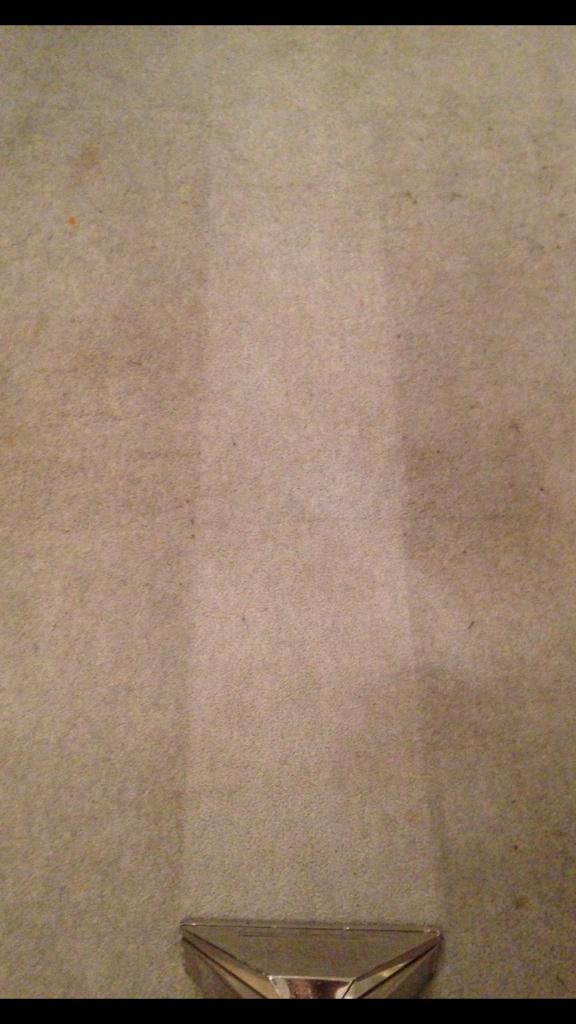 YorCleaning's tweet photo. A carpet clean done today in York. #YCC #nofilter #carpetcleaningspecialists http://t.co/0vTx51V2XG