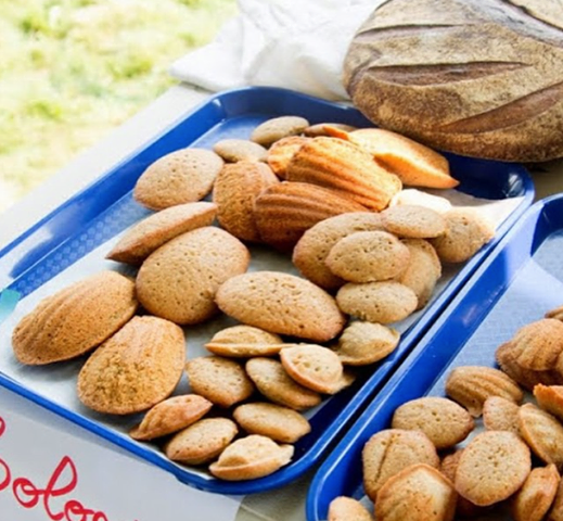 Learn about flavor and texture while "wheat tasting" different delicious madeleines tomorrow, stop on by!