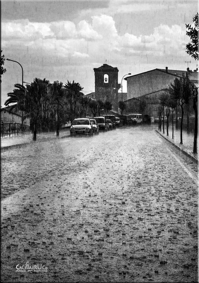 Cacharruco tweet picture