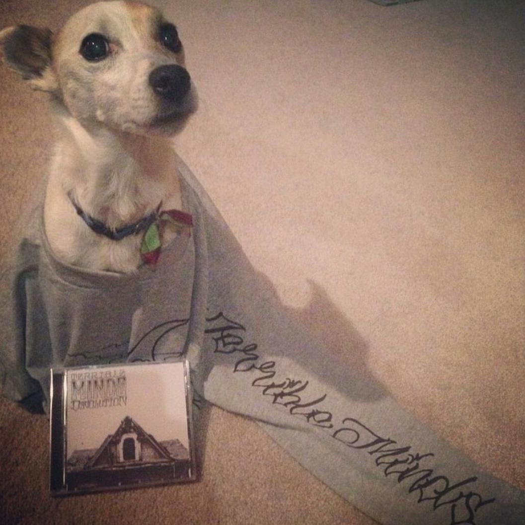 Merchxmutt tweet media