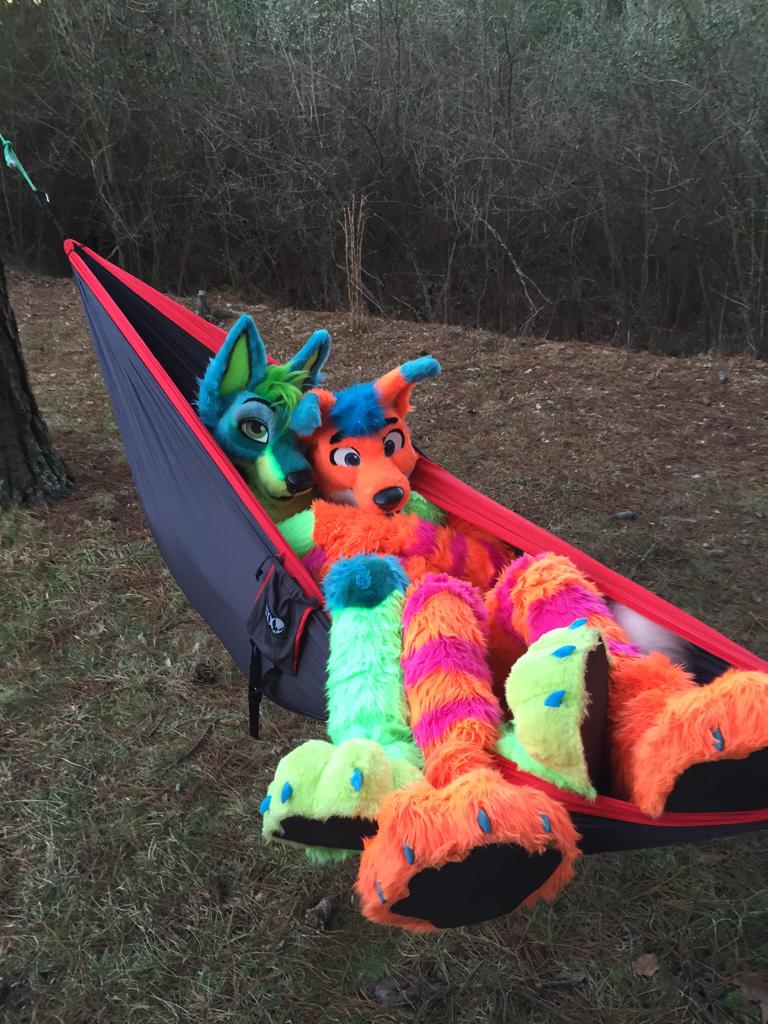 AviFox's tweet photo. Snuggled up in a hammock with the cutest Jackal ever!!! (@wolfknight1990)

Happy #FursuitFriday :D 

@MadeFurYou http://t.co/0K6jIYdPAC
