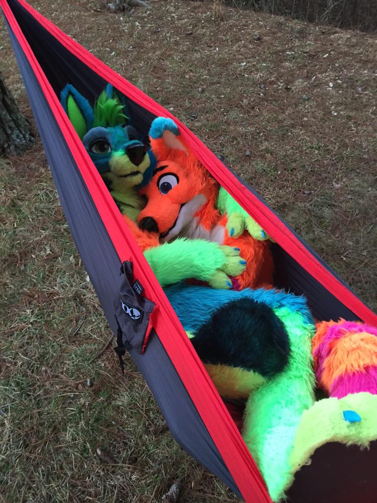 AviFox's tweet photo. Snuggled up in a hammock with the cutest Jackal ever!!! (@wolfknight1990)

Happy #FursuitFriday :D 

@MadeFurYou http://t.co/0K6jIYdPAC