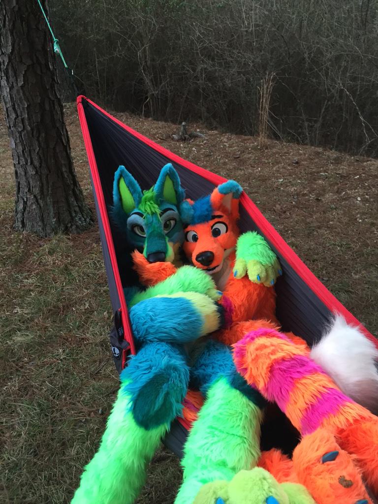 AviFox's tweet photo. Snuggled up in a hammock with the cutest Jackal ever!!! (@wolfknight1990)

Happy #FursuitFriday :D 

@MadeFurYou http://t.co/0K6jIYdPAC
