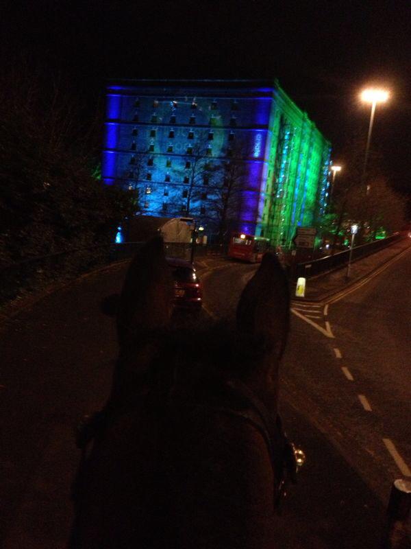 ASPoliceHorses's tweet photo. Strange - We were sure it wasn't that colour before ?! @BristolCouncil #bristolgreencapital2015 #createcentre http://t.co/7ul64vjVPM