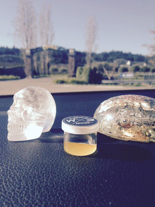 gagegreengroup's tweet photo. at the Coppola Vineyards today with bright moments and crystal clear thoughts. Giving thanks always http://t.co/PYrJlZrjio
