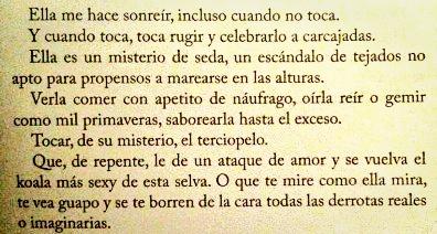 carminabuurana's tweet photo. Buenísimas noches ♡🐨 http://t.co/8eeL8zr4Nr