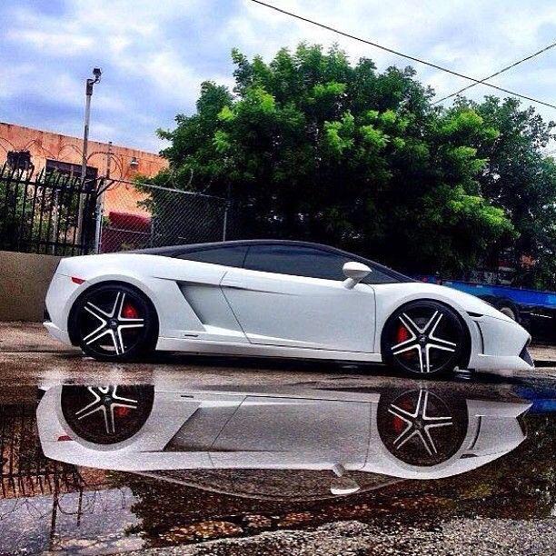 OnlyLambo's tweet image. 