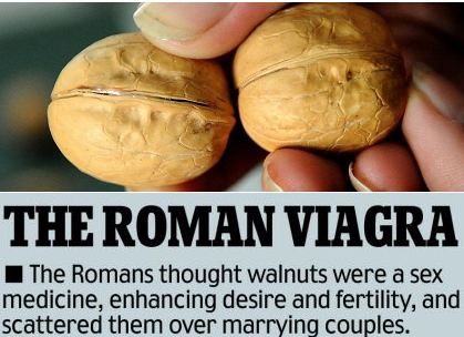 EMS_A2's tweet photo. All #walnuts at work/play. Enjoy this #funfridayfind #walnutfactoid. @Hesrocks @001mercy @dovewire @catherinewilsey http://t.co/5u97k7XZEz