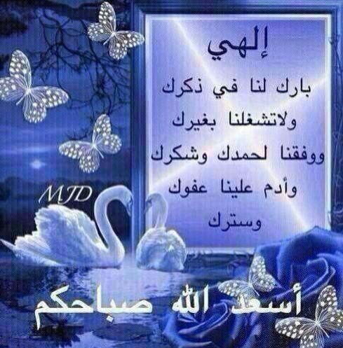alamal_4 tweet picture