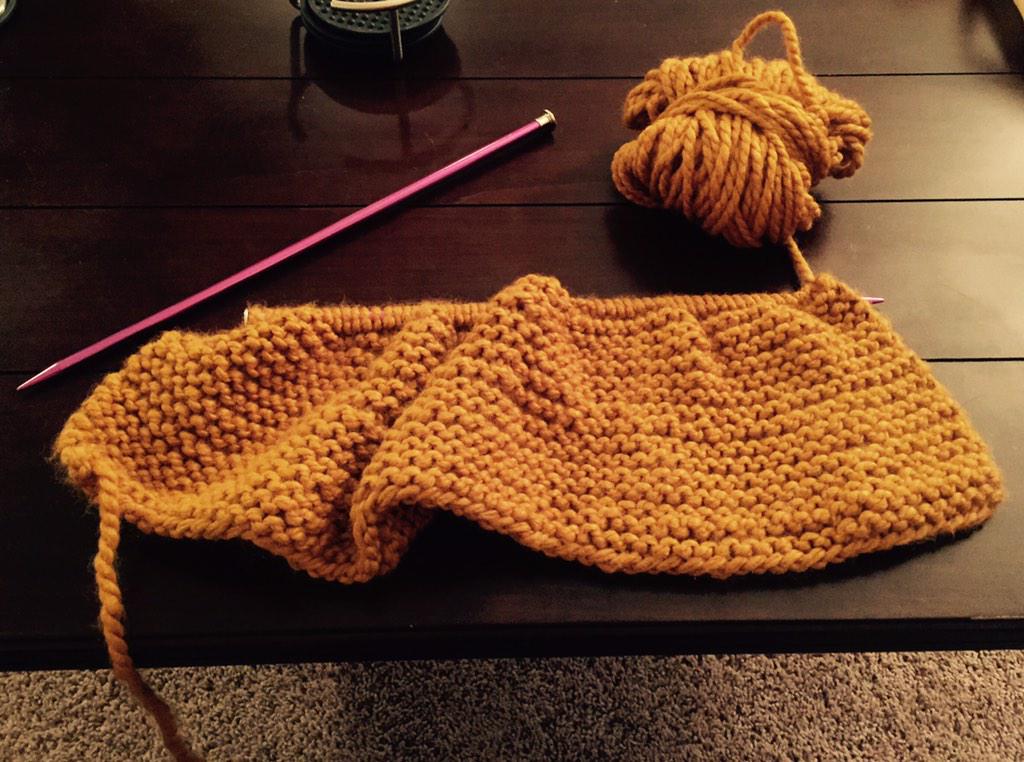 SWatty14's tweet photo. Scarf will be done in T minus 9 years #feelinghopeless #beginningknitter http://t.co/ddFSMNqKLc