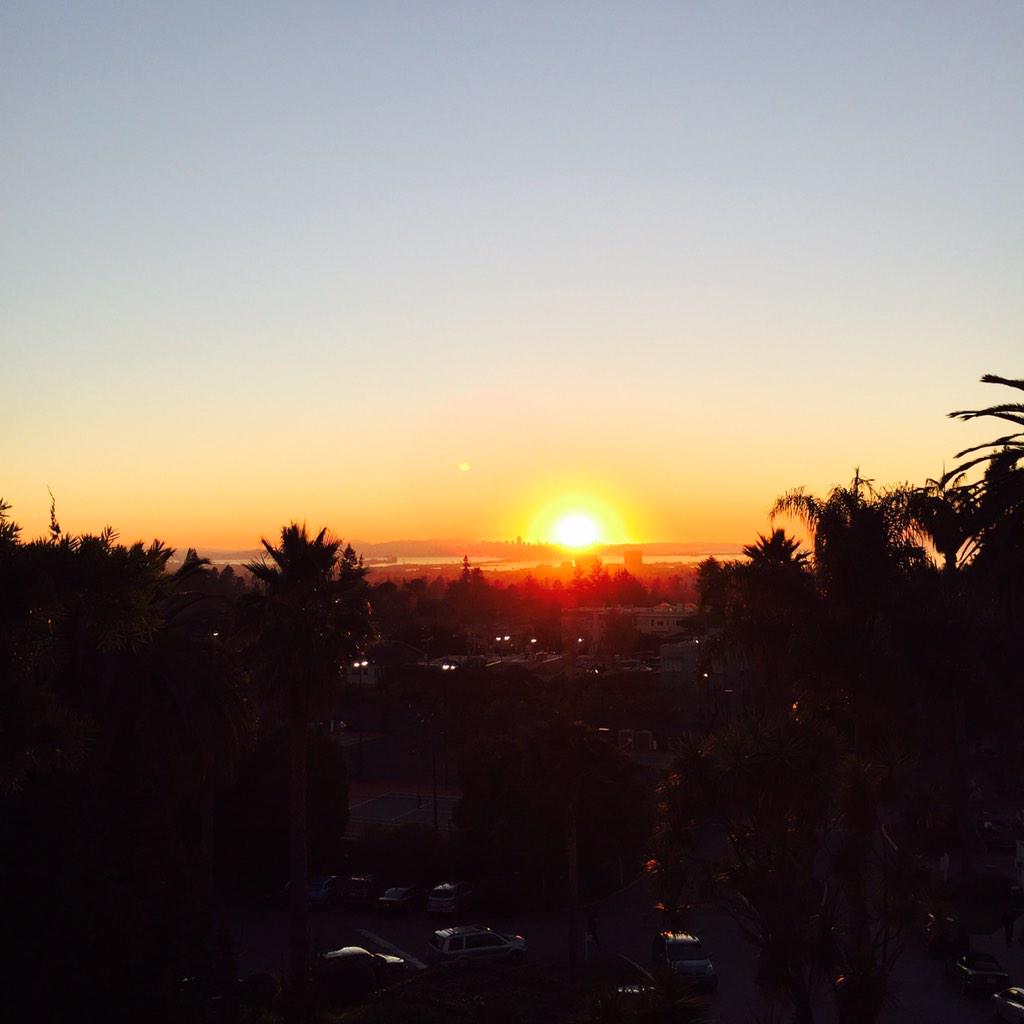 Delaney Gallagher tweet media