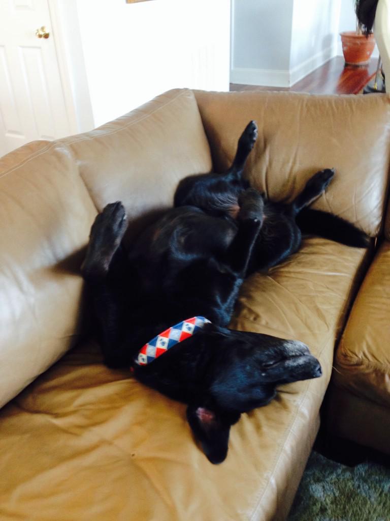 jennrayparker's tweet photo. My #BestBuds @Budweiser http://t.co/C7pZ2KHZ4y