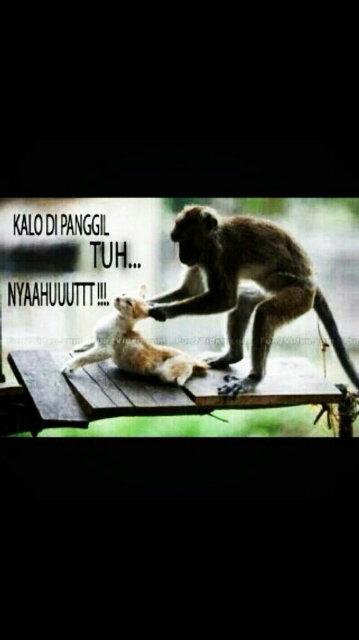 assewu tweet picture