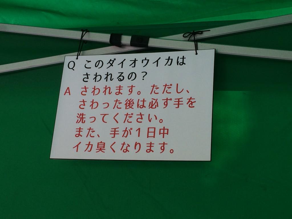 さすがはイカ界の王者 ダイオウイカが最強にイカくさいことが判明 触っただけで一日中手がイカ臭くなるぞ Togetter さすがはイカ界の王者 ダイオウイカが最強にイカくさいことが判明 触っただけで一日中手がイカ臭くなるぞ Togetter